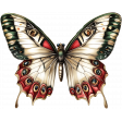 CC#12 - Ephemera - Butterfly 02B
