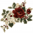 CC#12 - Ephemera Floral 07