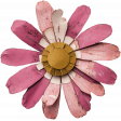 CC#12 - Ephemera - Flower 06