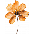 Curiosity Cabinets #3 - Mini Kit - Dried Flower 01