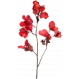 Curiosity Cabinets #3 - Mini Kit - Dried Flower 02