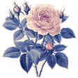 Curiosity Cabinets #3 - Mini Kit - Rose Sticker