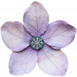 CC#13 Flower 10