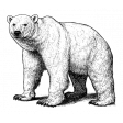 CC#12 Sticker Black and White 04