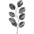 Leaf Template 3