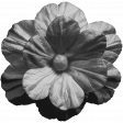 Flower Template 3F