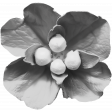 Flower Template 3H