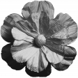 Flower Template 3E