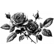 CC14 Illustration Rose 2