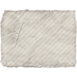 Collected Curiosities #14 Vellum 01