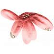 Collected Curiosities #14 Flower 01