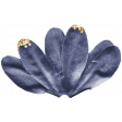 Collected Curiosities #14 Flower 02