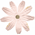 Collected Curiosities #14 Flower 05