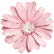 Collected Curiosities #14 Flower 08