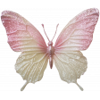 Collected Curiosities #14 Glitter Butterfly