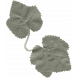 Collected Curiosities #14 Leaf 02