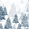 Pine Trees in Winter