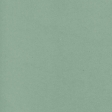 Spring Fever Solid Paper Moss Green