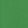 Spring Fever Solid Paper Kelly Green