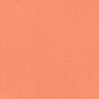 Summer Essence 2017: Solid Cardstock 01, Coral