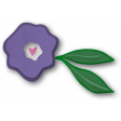 Purple Flower