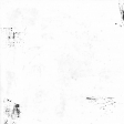 Panditas Paper 4