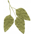 Panditas Leaf 1
