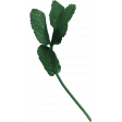 Panditas Leaf 2
