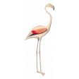 Flamingo 1