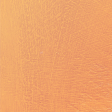 Tangerine paint texture