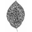 Leaf 03