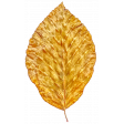 Leaf 04