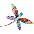 Dragonfly 3