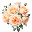 Peach roses (transparent) 