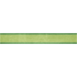 Picnic Ribbon2