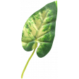 Ramadan Leaf 070