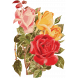 Seriously Floral Image 12