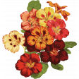 Seriously Floral Image 17