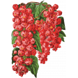 Seriously Floral Image 18