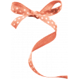 Wildflower Ribbon Coral