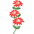 Vintage Color Poinsettia 2