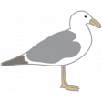 Coastal Print - Seagull - Bird