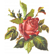 Seriously Floral 2 Illus - Floral 3
