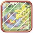 Seriously Floral #2 Elements Kit - Flair 4