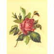 Seriously Floral #2 Pocket Cards Kit - JC 26