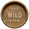 Wild Child Elements - Wood Flair One Wild Life
