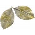 Good Life April 21_Leaf 2-tan