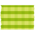 Summer Lovin_Washi tape-gingham-green