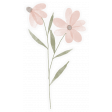 Good Life July 21_Flower 4-Vellum