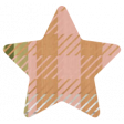 Good Life July 21_Star-Plaid